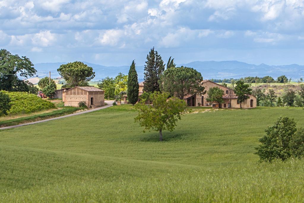 Villa Senese Buonconvento Extérieur photo